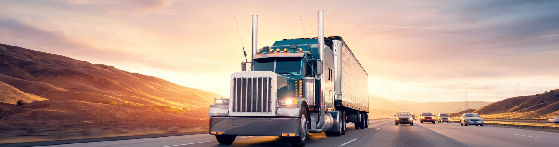 Professional Amazon Freight Truck